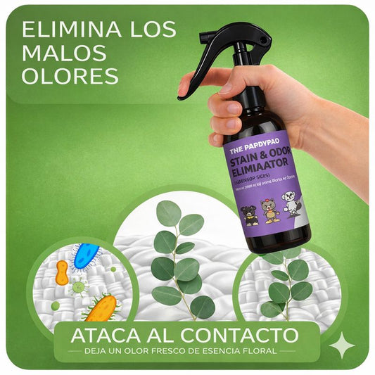 Eliminador de Manchas y Olores