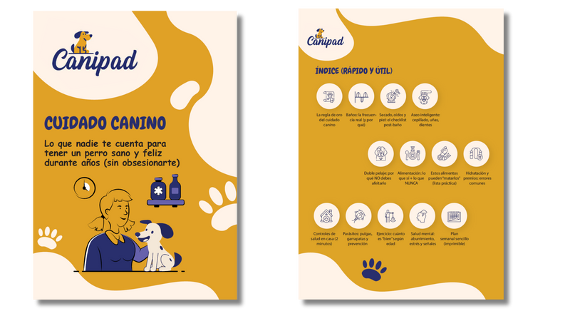 Cuidado básico del perro