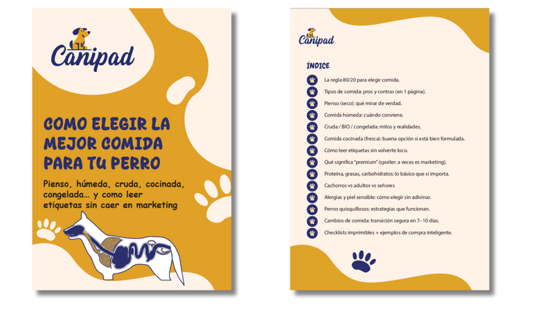 Cómo elegir el mejor alimento para tu perro