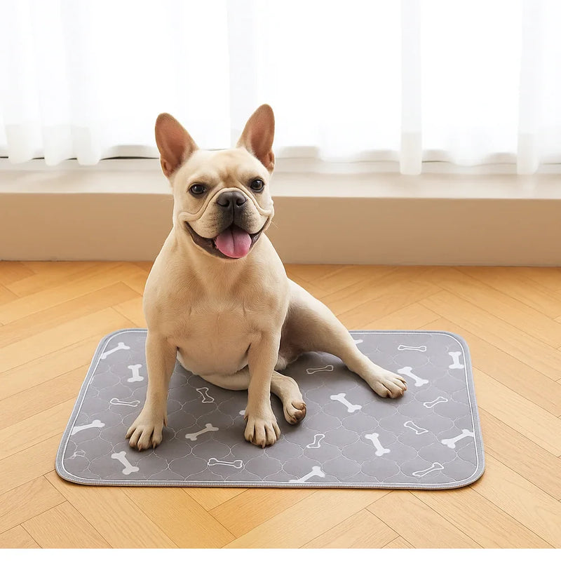 Dog size illustration